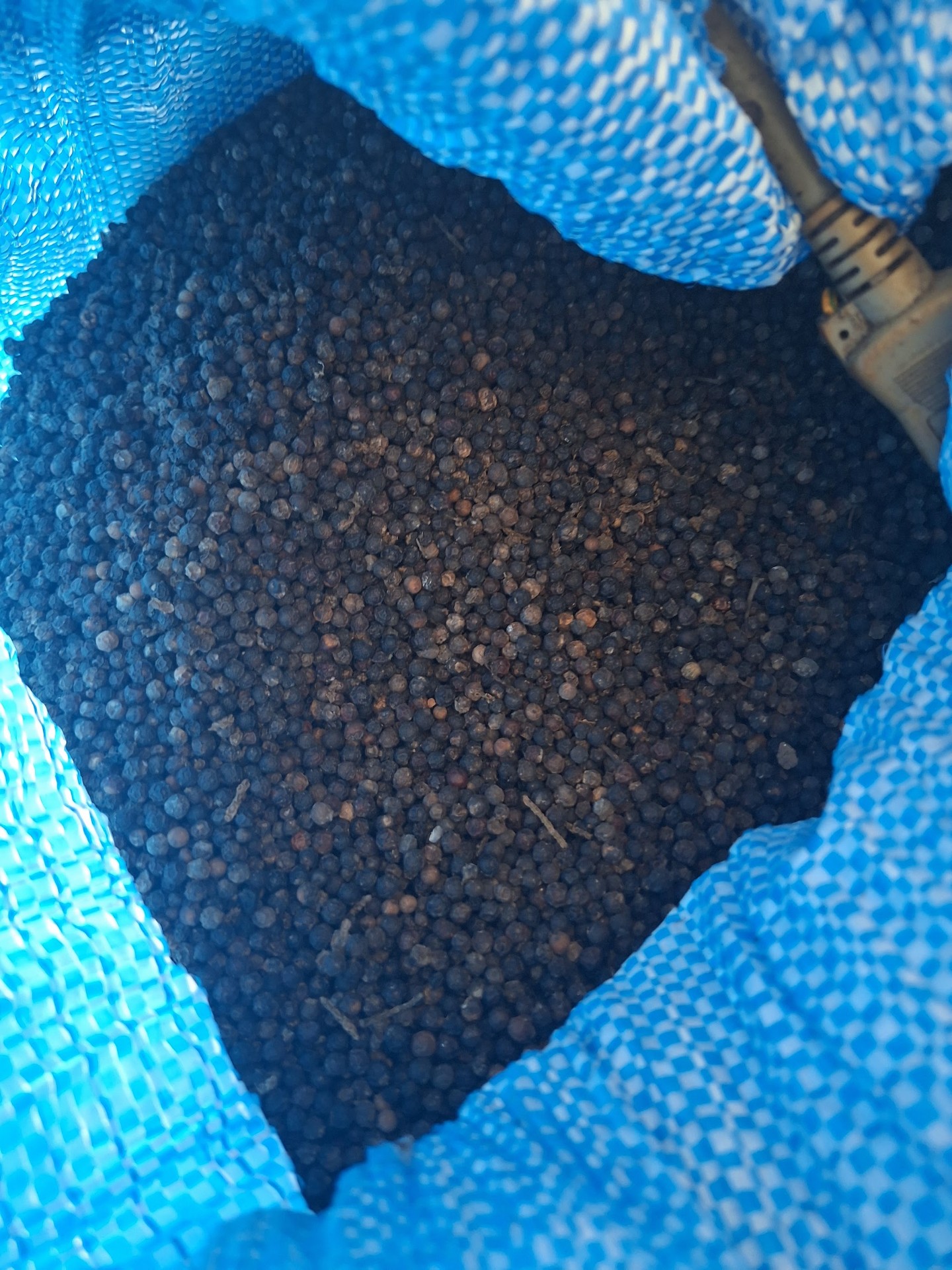 Black pepper in a blue sack