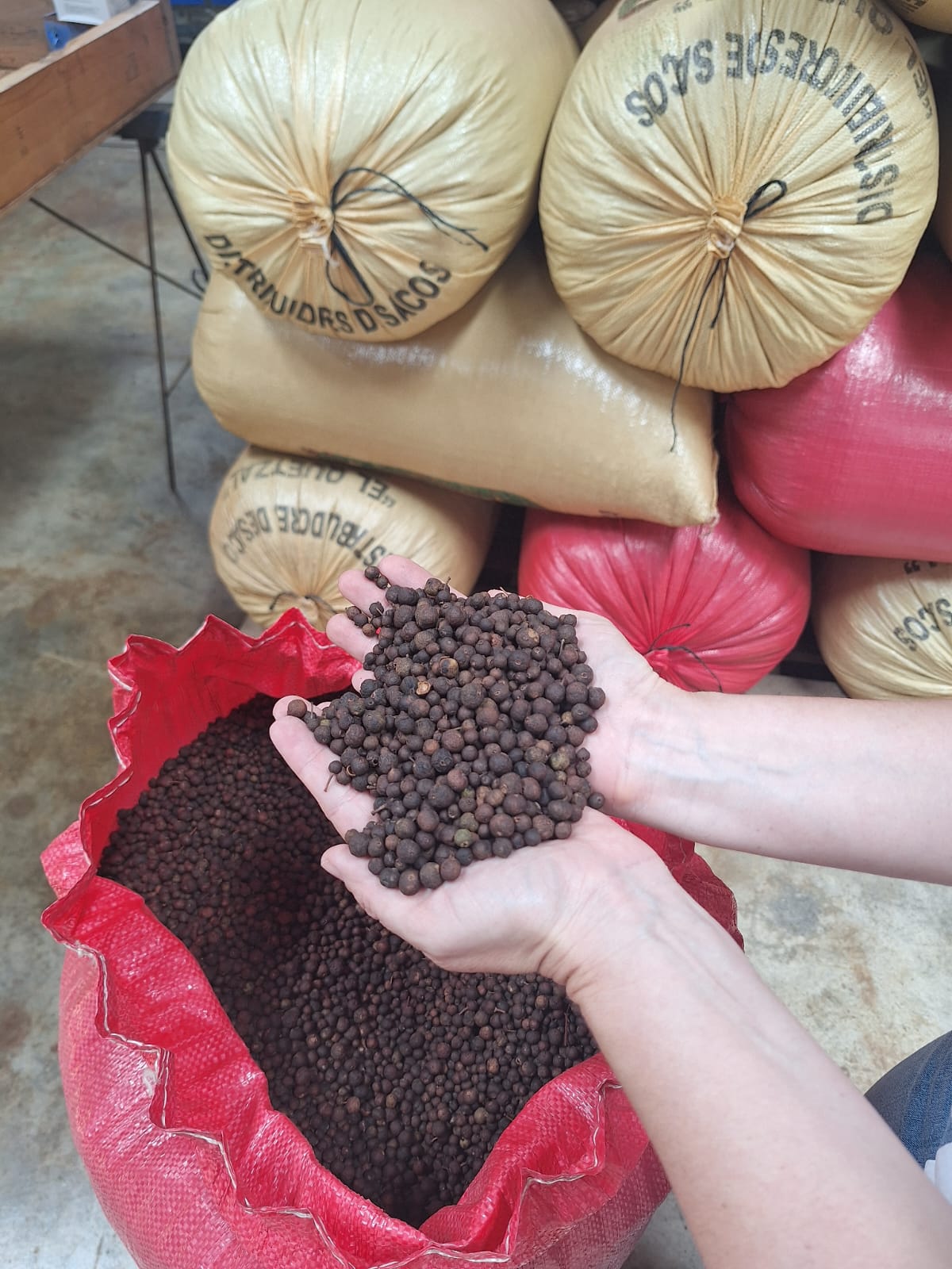 Allspice inspection in warehouse